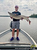 50" Muskie caught on Perrault Lake