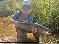 35.6" Brown Trout caught on Brontë Creek