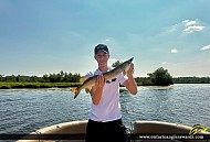 31" Northern Pike caught on Ottawa River