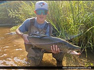30.5" Brown Trout caught on Brontë creek