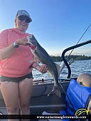 25" Walleye caught on O’Sullivan Lake