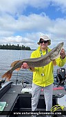 41" Northern Pike caught on Little Sand Lake