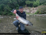 41" Chinook Salmon caught on Bowmanville Creek