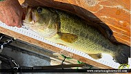 19" Largemouth Bass caught on Sandy Lake