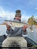 26.2" Walleye caught on South Nations 
