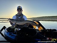 31" Northern Pike caught on Barrie