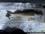 27" Walleye caught on Lake Nosbonsing