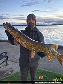 31" Northern Pike caught on St. Lawrence River