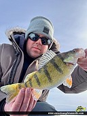 12" Yellow Perch caught on Lake Nipissing 