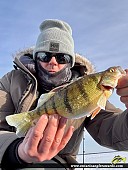 12" Yellow Perch caught on Lake Nipissing 