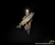 43.0" Chinook Salmon caught on Duffins Creek