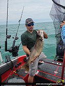 33" Lake Trout caught on Lake Ontario