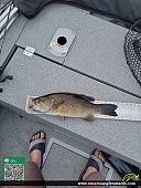 21" Smallmouth Bass caught on Lower Rideau Lake
