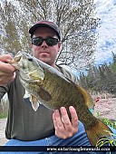 18" Smallmouth Bass caught on La Vase River