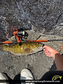 18.5" Smallmouth Bass caught on Winnipeg River