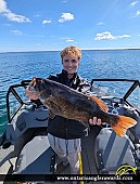 23.41" Smallmouth Bass caught on Lake Ontario 