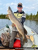 42" Northern Pike caught on Windsor Lake