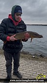 36" Northern Pike caught on St. Lawrence River