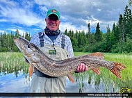 45.75" Northern Pike caught on Lake Nipigon