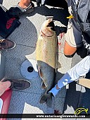 37.25" Lake Trout caught on Lake Ontario