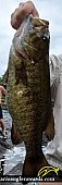 21" Smallmouth Bass caught on Crowe River