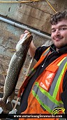 33" Northern Pike caught on Rainy Lake