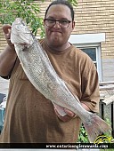 28.75" Walleye caught on Lake Erie