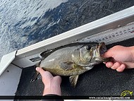 19" Smallmouth Bass caught on Deception Lake 