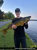 26.5" Walleye caught on Dow’s Lake
