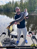 41.5" Northern Pike caught on Lac Seul