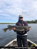 34" Northern Pike