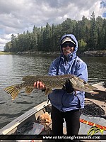 31" Northern Pike