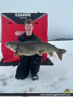 40" Lake Trout