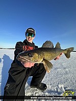 25" Walleye