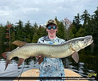 41" Muskie