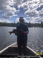 18.75" Smallmouth Bass