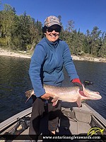 31.25" Northern Pike