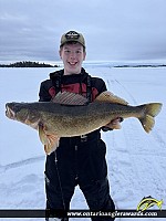 28" Walleye