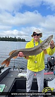 41" Northern Pike