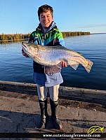 27.75" Rainbow Trout