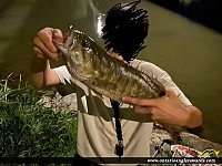 17" Smallmouth Bass