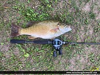 19" Smallmouth Bass
