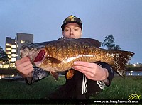 20" Smallmouth Bass