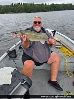 27.5" Walleye