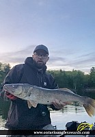 29" Walleye