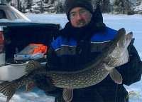 35.5" Northern Pike