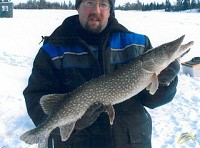 31" Northern Pike