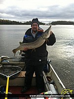 41.5" Northern Pike