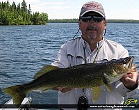 25" Walleye
