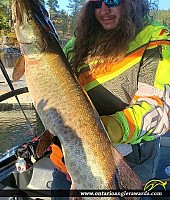 45" Muskie